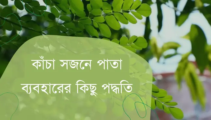 ডায়াবেটিস রোগীর কাঁচা সজনে পাতার উপকারিতা ও খাওয়ার পদ্ধতি ডায়াবেটিস রোগীর কাঁচা সজনে পাতার উপকারিতা ও খাওয়ার পদ্ধতি