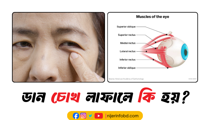 ডান চোখ লাফালে কি হয়? সহজ কারণ সহ প্রতিকার করুন ডান চোখ লাফালে কি হয়