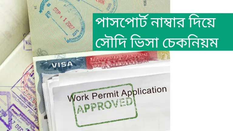 পাসপোর্ট নাম্বার দিয়ে সৌদি ভিসা চেক করার নিয়ম - New Update পাসপোর্ট নাম্বার দিয়ে সৌদি ভিসা চেক করার সঠিক নিয়ম